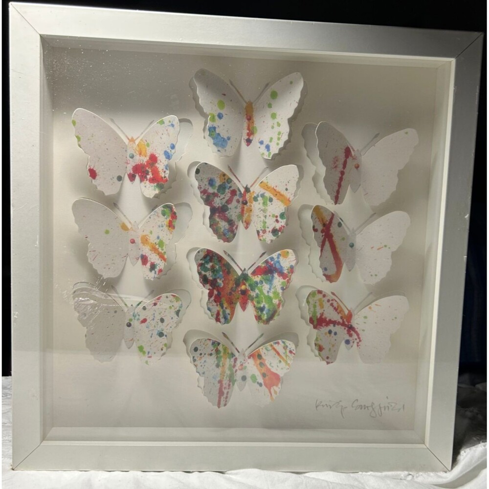 Philip Sheffield / Ikea 3D Butterfly with Paint Splatter Effect Olunda Frame New